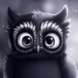 Meet your Posher, Elsa